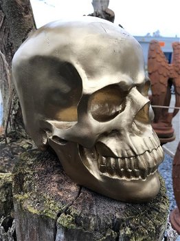 Skull-schedel, uit Polystein, gold-schedel -deco - - 2