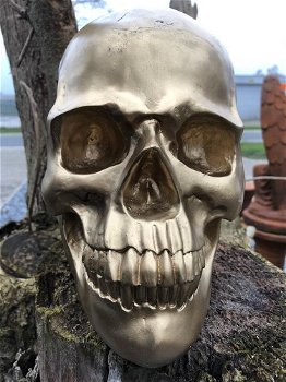 Skull-schedel, uit Polystein, gold-schedel -deco - - 3