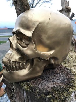 Skull-schedel, uit Polystein, gold-schedel -deco - - 4