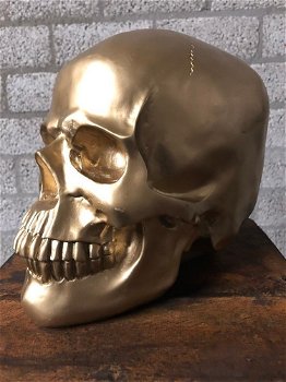 Skull-schedel, uit Polystein, gold-schedel -deco - - 5