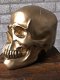 Skull-schedel, uit Polystein, gold-schedel -deco - - 5 - Thumbnail