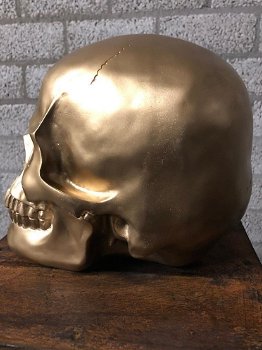 Skull-schedel, uit Polystein, gold-schedel -deco - - 6