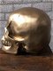 Skull-schedel, uit Polystein, gold-schedel -deco - - 6 - Thumbnail