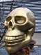Zeer grote anatomische skull-schedel, uit Polystein-Gold. - 3 - Thumbnail