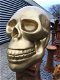 Zeer grote anatomische skull-schedel, uit Polystein-Gold. - 5 - Thumbnail