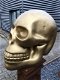 Zeer grote anatomische skull-schedel, uit Polystein-Gold. - 6 - Thumbnail