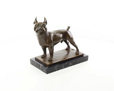 Een bronzen beeld van een franse bulldog-bulldog-hond