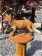Prachtige vos staand in mooie kleuren,kan ook in tuin-vos - 3 - Thumbnail
