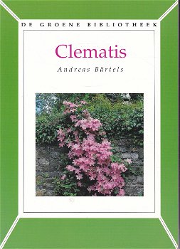 Clematis - 0