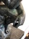 Bronzen sculptuur van De Denker by RODIN-brons-beeld - 5 - Thumbnail