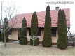 Family house (for sale) with agricultural and industrial buildings - 0 - Thumbnail