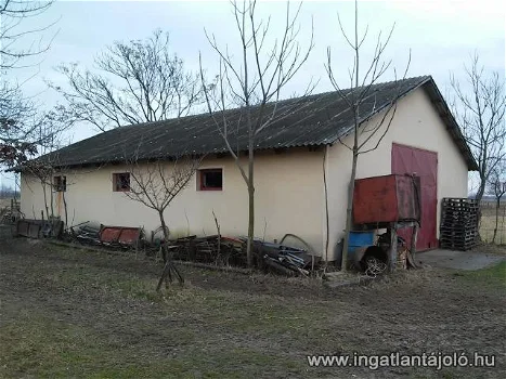 Family house (for sale) with agricultural and industrial buildings - 2