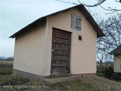 Family house (for sale) with agricultural and industrial buildings - 5