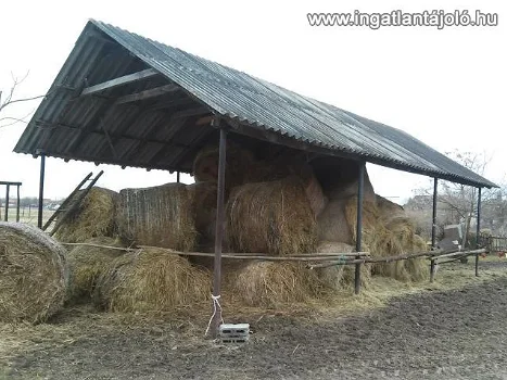 Family house (for sale) with agricultural and industrial buildings - 6