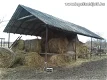 Family house (for sale) with agricultural and industrial buildings - 6 - Thumbnail
