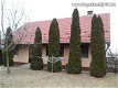 Einfamilienhaus mit landwirtschaftlichen und industriellen Gebäuden - 0 - Thumbnail