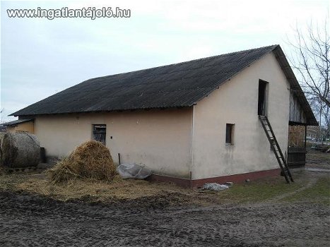 Einfamilienhaus mit landwirtschaftlichen und industriellen Gebäuden - 3