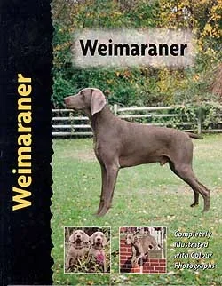 De Weimaraner - nr. 1