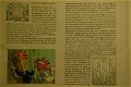 Wolle Klaver en de geheimzinnige meridiaan - 3 - Thumbnail