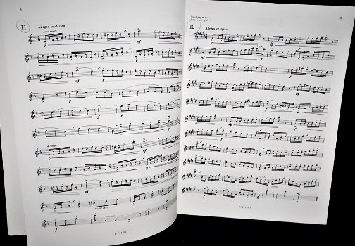 100 klassieke etudes voor Dwarsfluit,1966,z.g.a.n.,84 blz - 3