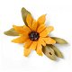 NIEUW Bigz Die Black Eyed Susan Sunflower Eileen Hull van Sizzix - 1 - Thumbnail