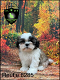 Lieve Boomer pups, Boemer - 6 - Thumbnail