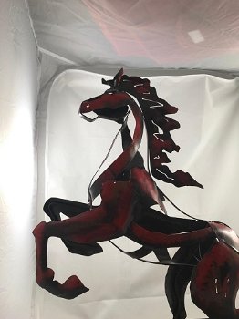 Een geweldig beeld van een paard, mooi in kleur,paard - 5