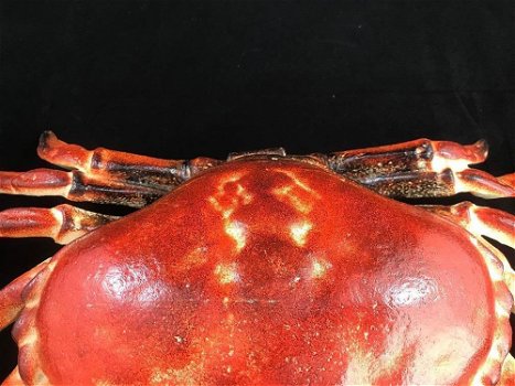 Een gietijzeren krab als een doos, sieradendoos,krab-deco - 4