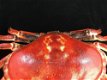 Een gietijzeren krab als een doos, sieradendoos,krab-deco - 4 - Thumbnail