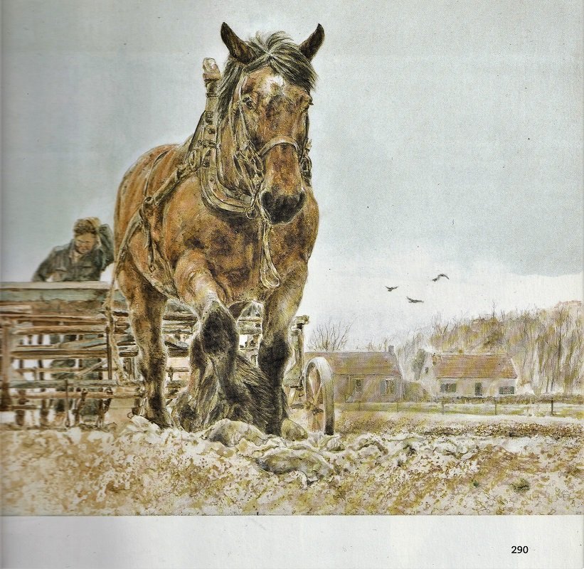 HET BOERENPAARD - Aquarellen van Wim Romijn - Afbeelding 2