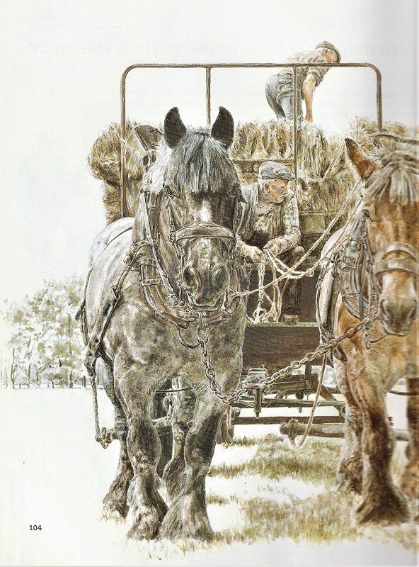 HET BOERENPAARD - Aquarellen van Wim Romijn - Afbeelding 3