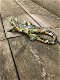 Een prachtige salamander in mozaiek stijl, vrolijk beeldje - 2 - Thumbnail