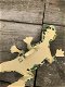 Een prachtige salamander in mozaiek stijl, vrolijk beeldje - 6 - Thumbnail
