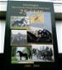 Fokvereniging Het Friesche Paard Zuid-Nederland 25 jaar. - 0 - Thumbnail
