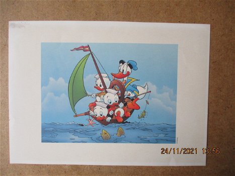 ad0955 donald duck prent 2 - 0