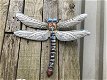 Set libelles, metalen wandornamenten, heel erg mooi - 4 - Thumbnail