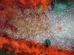 kleurige wanddecoratie van glas - 3 - Thumbnail
