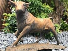 Een fraai beeld van een stier, gietijzer-rust-kado-beeld - 0