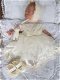prematuur pakje dooppakje doopsetje geboorte kleding Beertje - 6 - Thumbnail