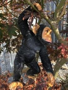 Mooi speels beeld van een hangende aap, polystone - 2