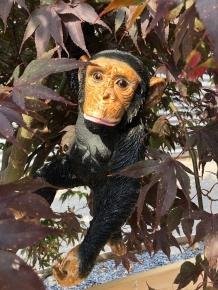 Mooi speels beeld van een hangende aap, polystone - 4