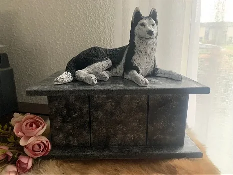 Husky hondenbeeld op urn als set te koop - 2
