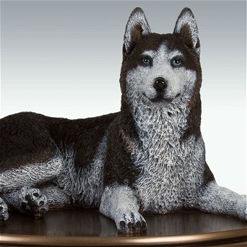 Husky hondenbeeld op urn als set te koop - 4