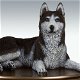 Husky hondenbeeld op urn als set te koop - 4 - Thumbnail