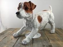 Mooi beeld van een Jack Russel, hond ,hondje, verzamel