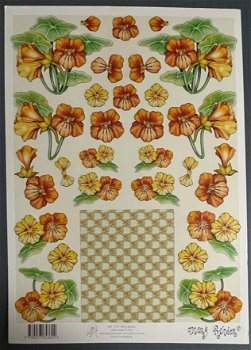 MARIJ RAHDER - B 2615 --- Oranje bloemen - 0