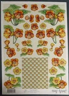 MARIJ RAHDER - B 2615 --- Oranje bloemen