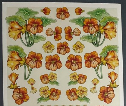 MARIJ RAHDER - B 2615 --- Oranje bloemen - 1