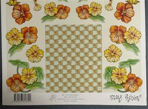 MARIJ RAHDER - B 2615 --- Oranje bloemen - 2