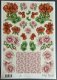 MARIJ RAHDER - B 2611 --- Rode en roze bloemen - 0 - Thumbnail